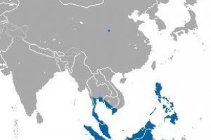 Pies bat - charakterystyka i zdjęcia Pies bat - charakterystyka i zdjęcia