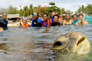 Najlepsi bombowce zwierzęta