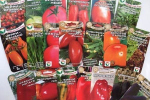 Najlepszy wybór wysokiej jakości materiału siewnego w agrofirmu siberian garden Najlepszy wybór wysokiej jakości materiału siewnego w agrofirmu siberian garden