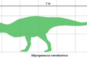 Mayungasavr Mayungasavr