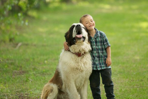 Moskwa watchman - plus i minusy rasy