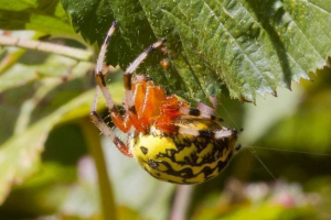 Marmurowy krzyż i ciekawe fakty o nim