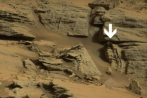 Mars wykrył szkielet jaszczurki Mars wykrył szkielet jaszczurki