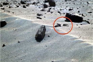 Mars wykrył krewetki i skorpion Mars wykrył krewetki i skorpion