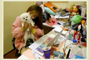 Pracować - ze zwierzakiem! Nowy układ w biurach szanghaju