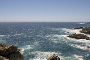 Znalazłem stworzenie z głową, ale bez ciała