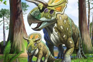 Nasutoceratops Nasutoceratops