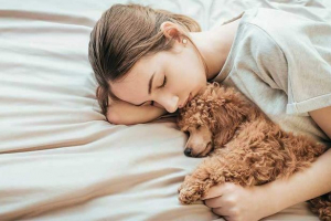 Rasy nonny psów - co z nich lepiej wybrać? Rasy nonny psów - co z nich lepiej wybrać?