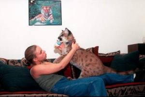 Niezwykłe zwierzęta: zdjęcie egzotycznych zwierząt Niezwykłe zwierzęta: zdjęcie egzotycznych zwierząt