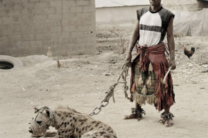 Niezwykłe zwierzęta afrykanie