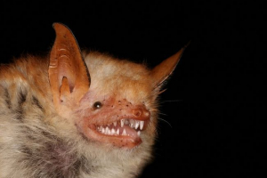 Gotowane przez noc Gotowane przez noc