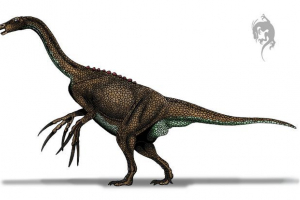 Noteroniczny Noteroniczny