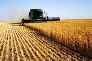 Ochrona świata zwierząt