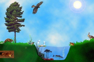 Podstawowe życie życia Podstawowe życie życia