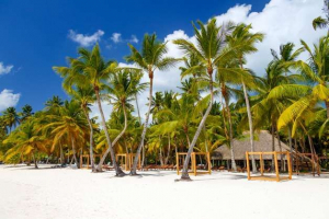 Cechy klimatu tropikalnego Cechy klimatu tropikalnego