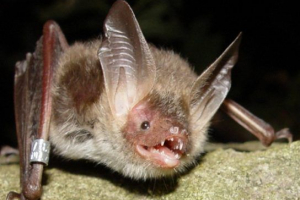 Outlook nightnight Outlook nightnight