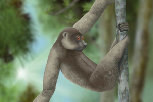 Paleopropitek Paleopropitek