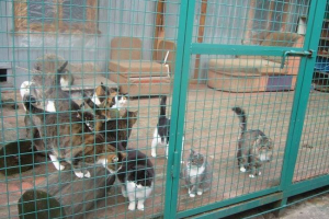 Permerytor perm emerytor pokazał wszystkie swoje oszczędności