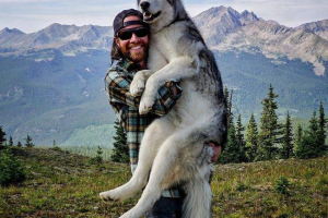 Lok loki po raz kolejny stał się gwiazdą youtube