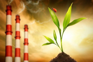 Dlaczego często słyszymy słowa ekologii