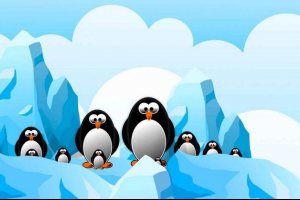 Dlaczego pingwiny na żywo antarktyda? Dlaczego pingwiny na żywo antarktyda?