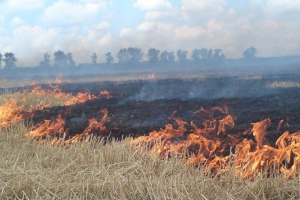 Anomalie pogodowe zagrażają agrarom Anomalie pogodowe zagrażają agrarom