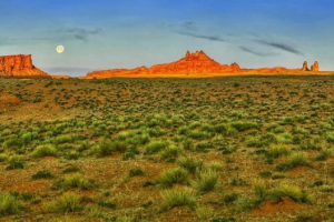 Prairie ameryka północna