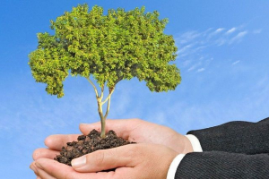 Zastosowana ekologia