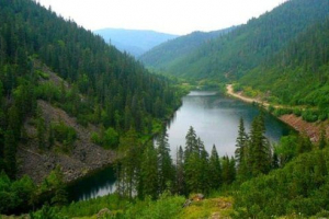 Natura regionu khabarowsk Natura regionu khabarowsk