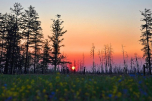 Natura yakutia Natura yakutia