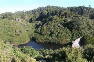 Natura nowej zelandii: od dna morskiego do drzwi