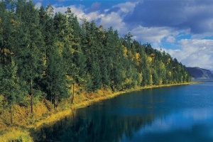 Natura syberii i syberii wschodniej