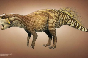 Psittakosavr: papuga dinozaurów Psittakosavr: papuga dinozaurów