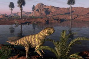 Psittakosavr Psittakosavr