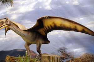 Pterodacloids - pierwsze wzmacniacze przestrzeni powietrznej