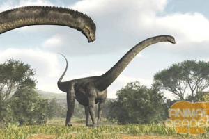 Puertosavr - jeden z największych dinozaurów Puertosavr - jeden z największych dinozaurów