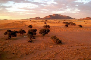 Pustynna namib