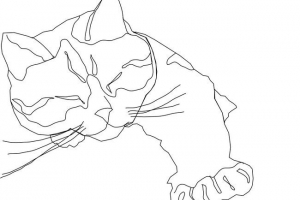 Kolorowanki kotów i kocięta dla dzieci Kolorowanki kotów i kocięta dla dzieci