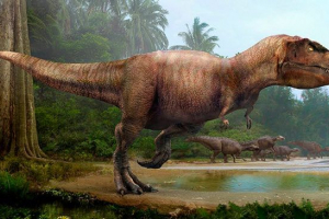 Ocena najbardziej niebezpiecznych dinozaurów Ocena najbardziej niebezpiecznych dinozaurów