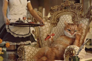 Bogaty zwierzęta Bogaty zwierzęta