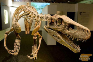 Najbardziej starożytne dinozaury Najbardziej starożytne dinozaury