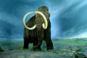 Najciekawsze fakty dotyczące mamutów