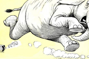 Słonie boją myszy - czy to prawda? Słonie boją myszy - czy to prawda?