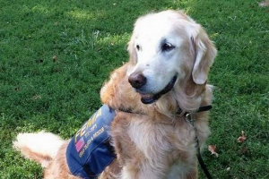 Pies, oszczędzający ludzi po ataku terrorystycznym 11 września, obchodził 16-lecie