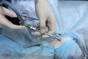 Sterylizacja kotów laparoskopowa metoda Sterylizacja kotów laparoskopowa metoda