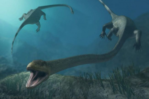 Tanistroin - jaszczurka z niesamowicie długą szyją