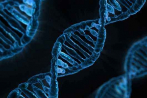 Teoria genov: historia rozwoju i szybka funkcja