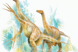 Therizinosaurus Therizinosaurus