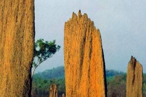 Termantnik - arcydzieło sztuka inżynierska