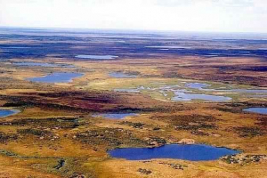 Terminowe samochody: definicja, formacja i wpływ na środowisko